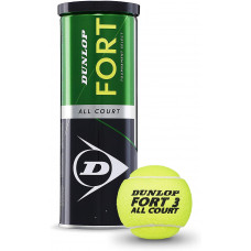 Теннисные мячи Dunlop Fort All Court TS