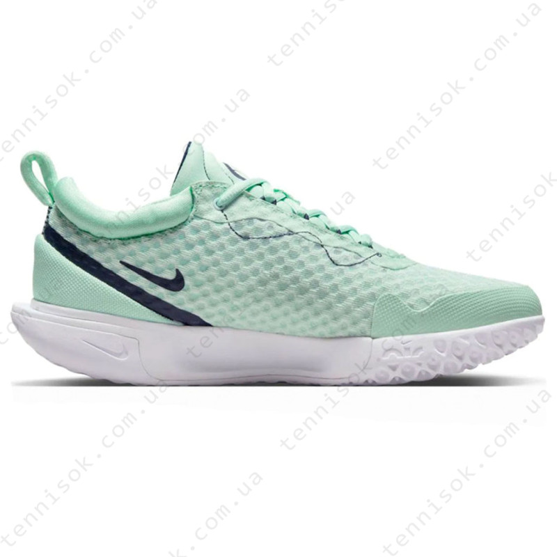 Теннисные кроссовки Nike Zoom Court Pro HC DH0990-300