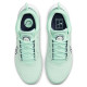 Теннисные кроссовки Nike Zoom Court Pro HC DH0990-300