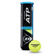 Теннисные мячи Dunlop ATP Champions