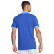  Nike Rafa Slim Polo DD8532-480