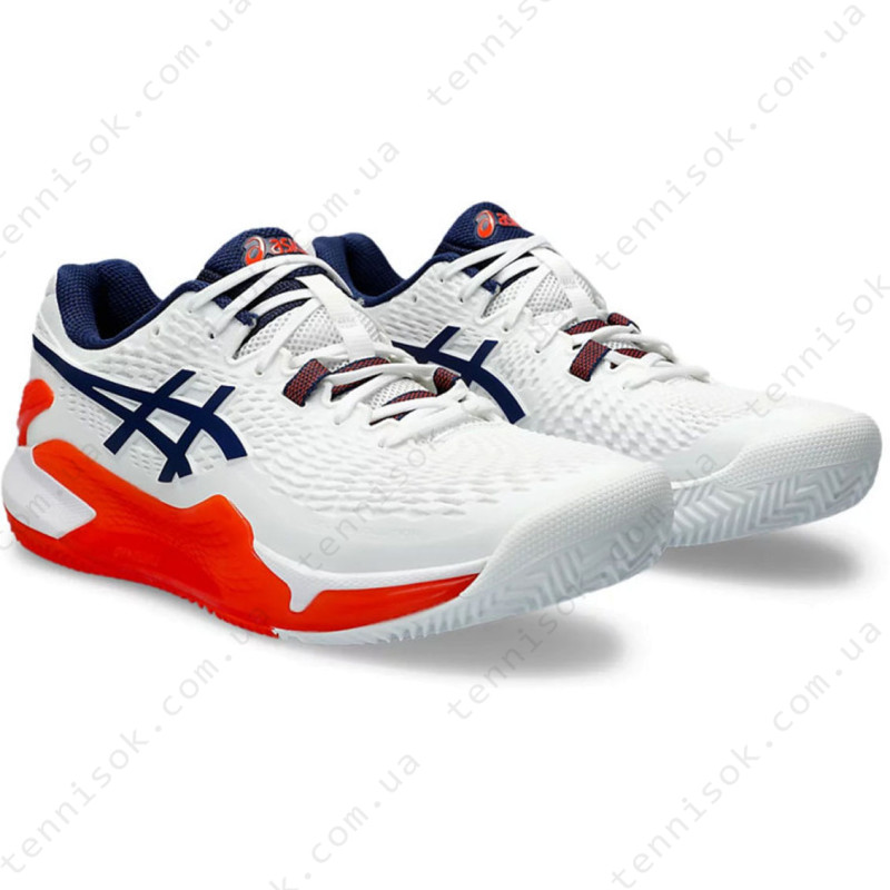 Тенісні кросівки Asics Gel-Resolution 9 Clay 1041A375-102