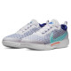 Тенісні кросівки Nike Court Zoom Pro HC DH0618-141
