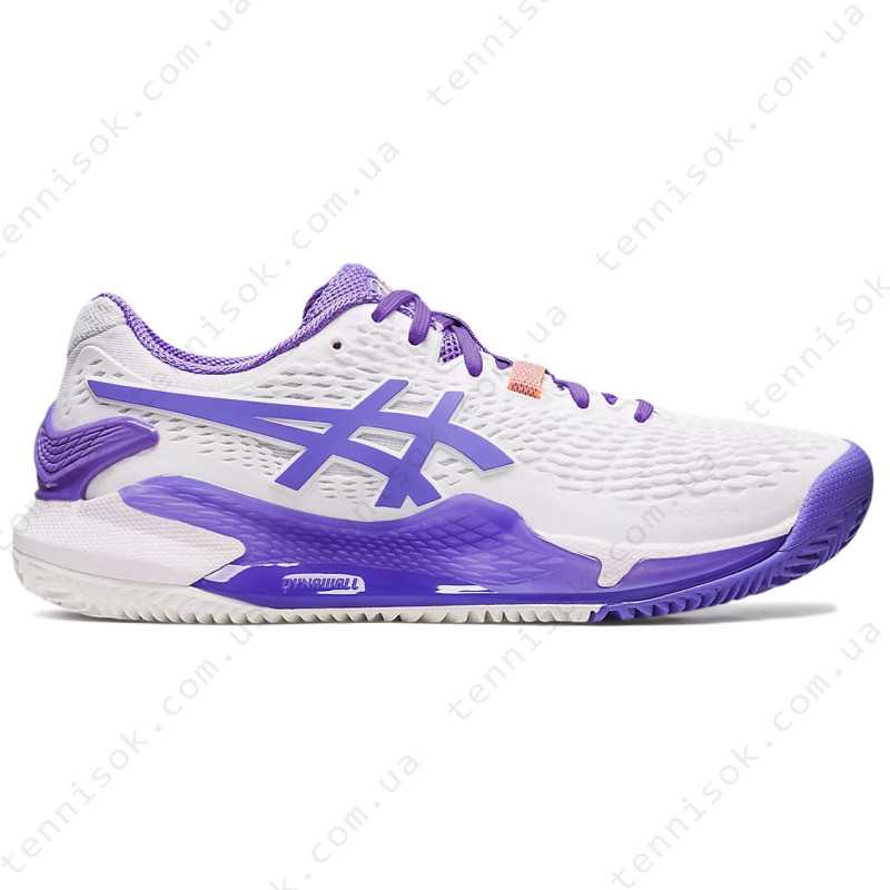  Asics Gel-Resolution 9 Clay 1042A224-101