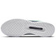 Теннисные кроссовки Nike Zoom Court Pro HC DH0990-300