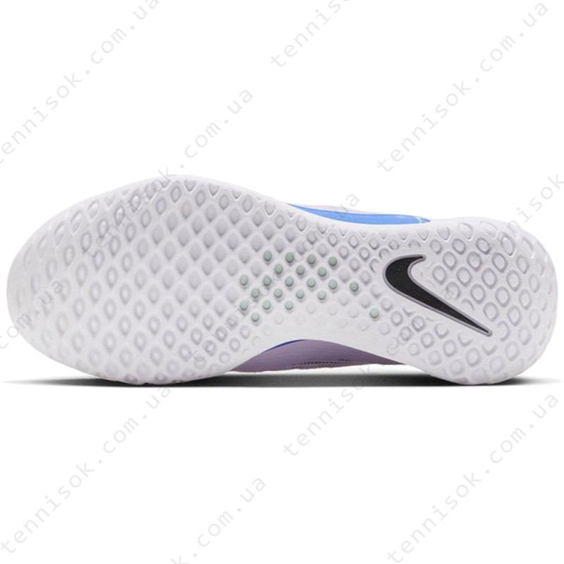  Nike Court Zoom NXT HC DH0222-500