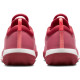 Теннисные кроссовки Nike Court Air Zoom NXT Clay FD0896-600
