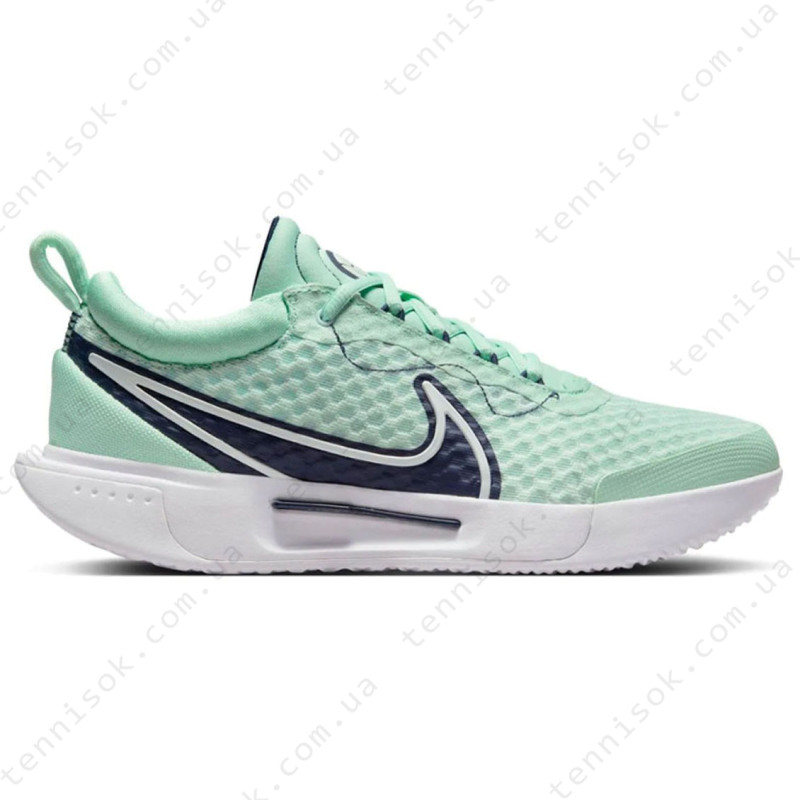 Теннисные кроссовки Nike Zoom Court Pro HC DH0990-300