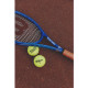 Теннисная ракетка Wilson Clash 100 V2 RG 2022