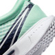 Теннисные кроссовки Nike Zoom Court Pro HC DH0990-300